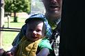 Picture 7644